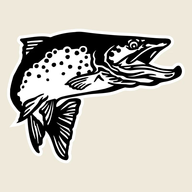 forelle2_2c_mit_kontur_2