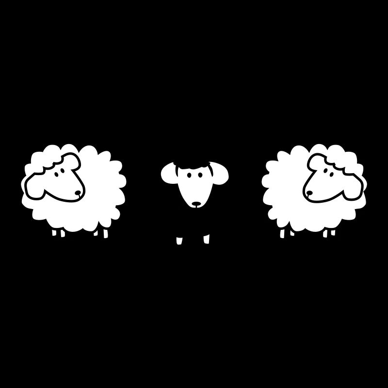 scharzes sheep