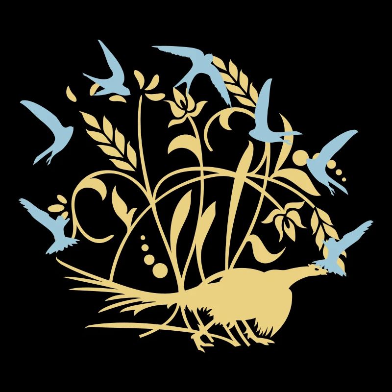 Fasan im Feld / pheasant n the field (1c)