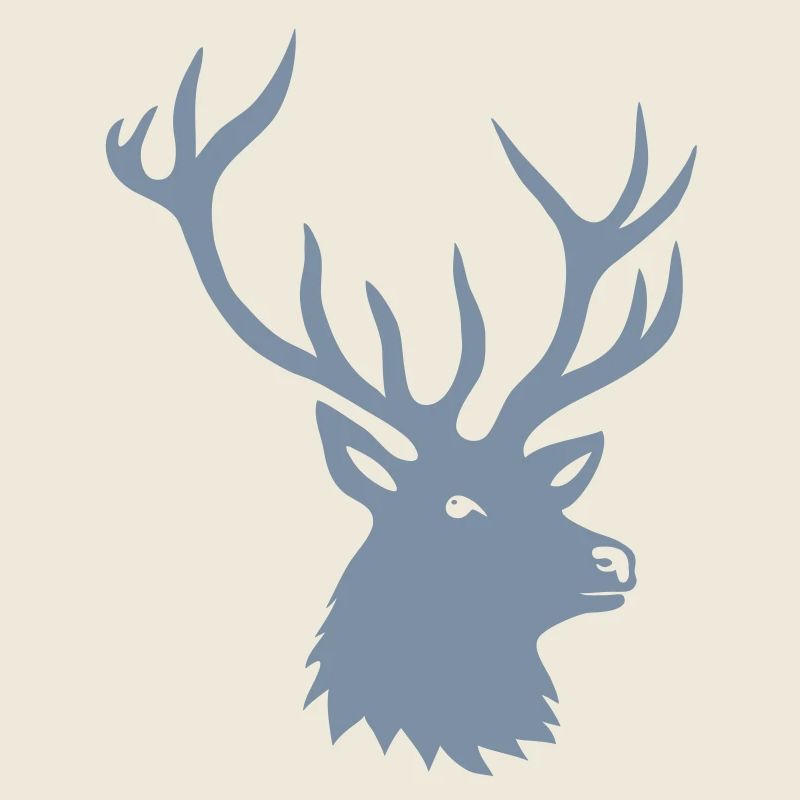 cerf ramure bois corne cornes animal sauvage chass