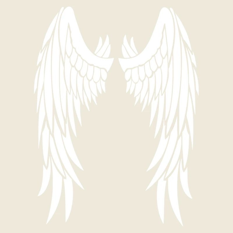 angelwingschoosen