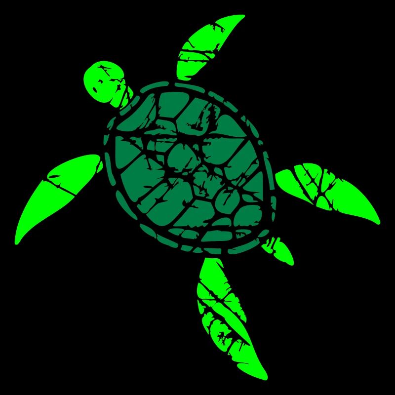 Schildkröte Muster Risse Kratzer Vintage Retro