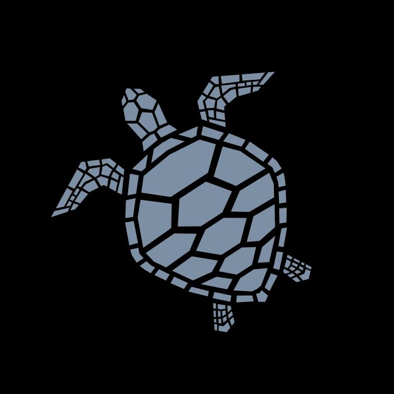 sea turtle