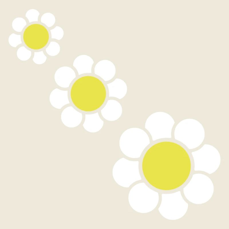 3 Marguerites Blanches Fleurs Printemps Eté Jolie