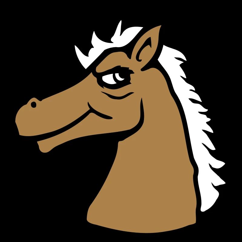 Pferd Cooler Blick Lächeln Kerl Hengst Mann Junge