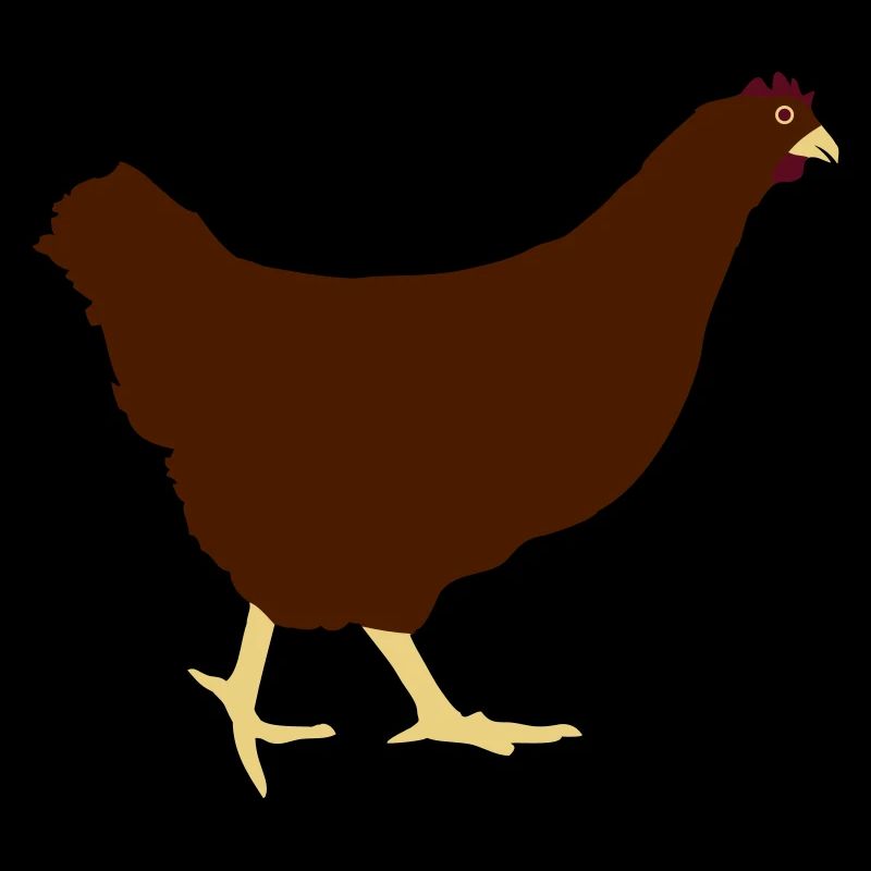 Running chicken hen