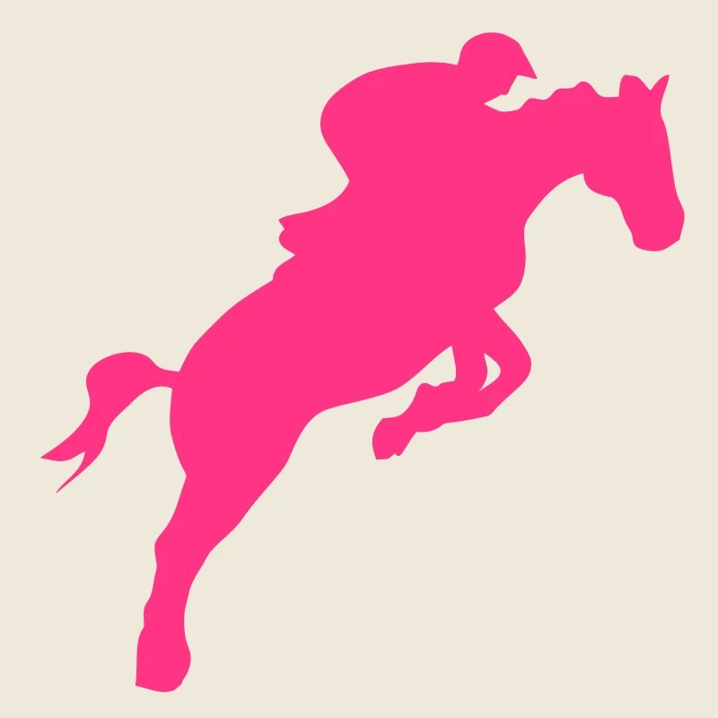 equitation cavalier11 obstacle cheval sa