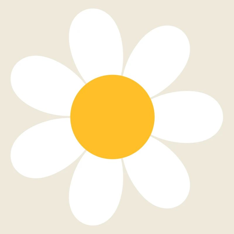 Fleur de marguerite