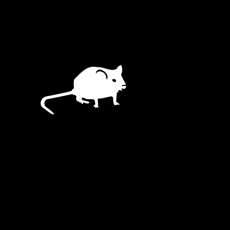 6 Ratten / 6 rats (1c)