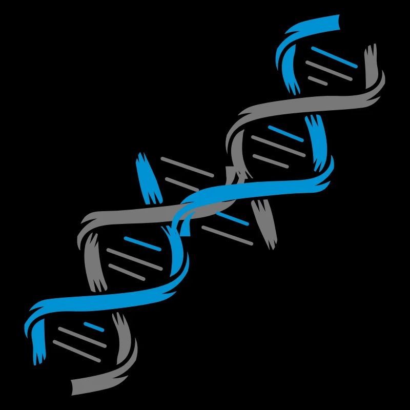 The structure of a DNA molecule