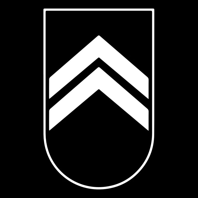 Abzeichen Badge Auszeichnung Armee Army 2c
