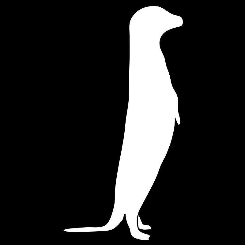 Erdmännchen // Surikate // Afrika // afrikanisch