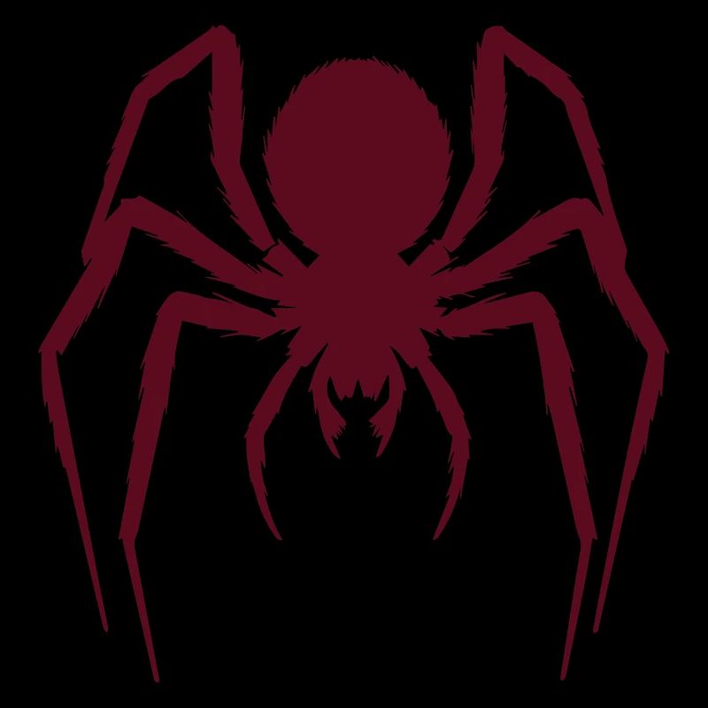 Hairy Spider