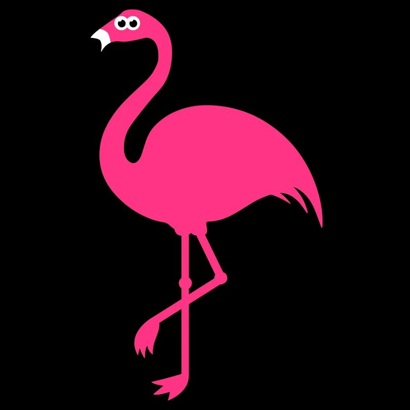Funny Sweet Flamingo