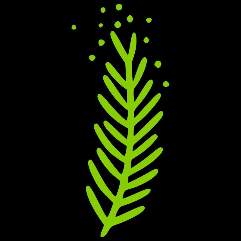 Branch Motif