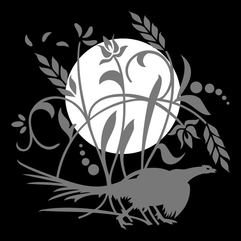 Fasan im Feld / pheasant n the field (1c)