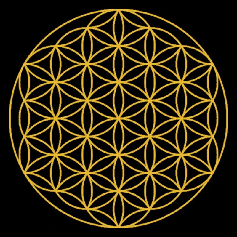 Cercles fleurs géométrie sacrée