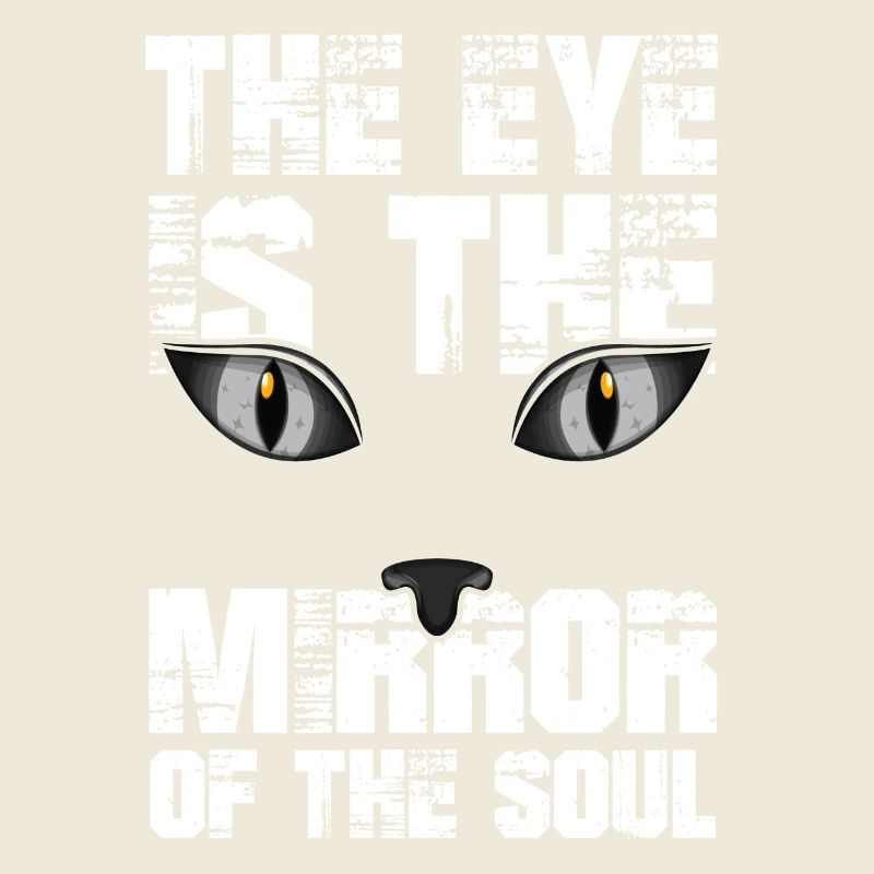 Chat chaton miaou chat domestique oeil de chat