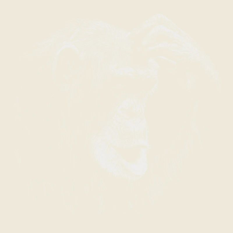 Affe