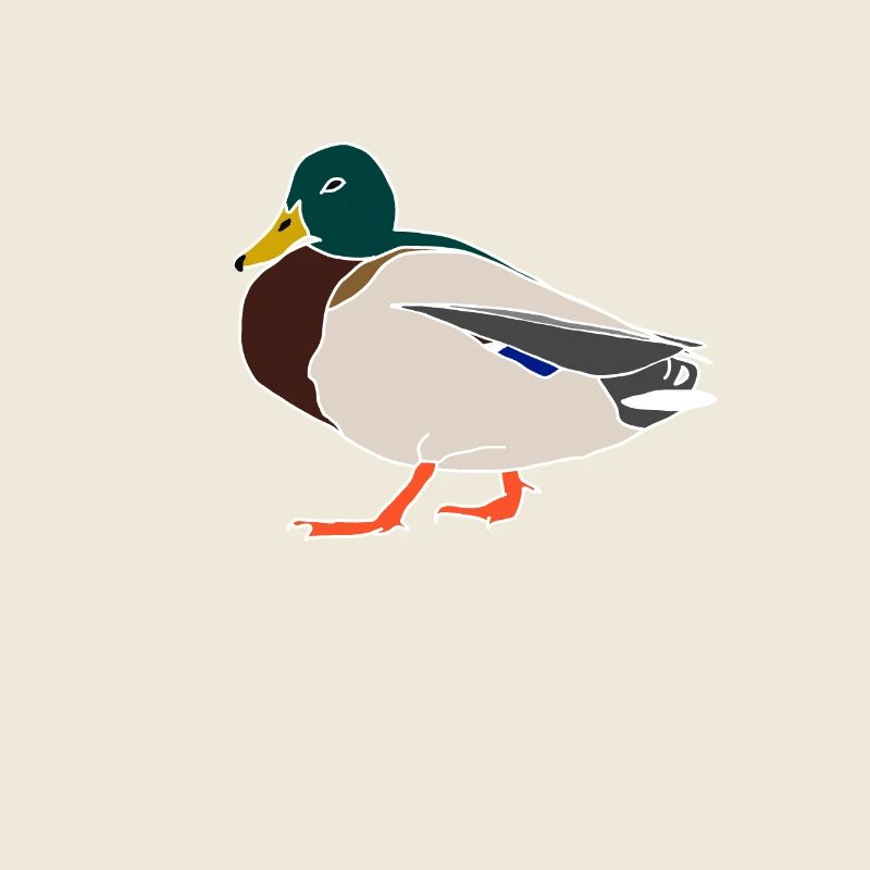 Canard