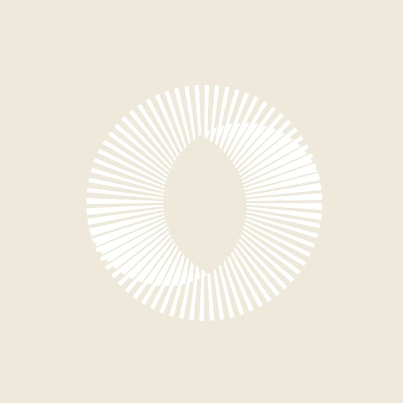 Circle illusion optic illusion paradox gift