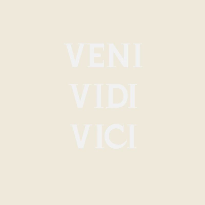 Veni vidi vici