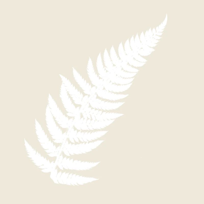 Contrasting Fern Feather