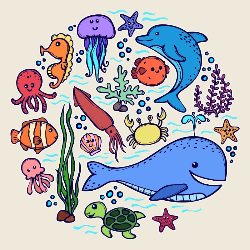 Fisch Blauwal Tier Lebewesen Tierwelt