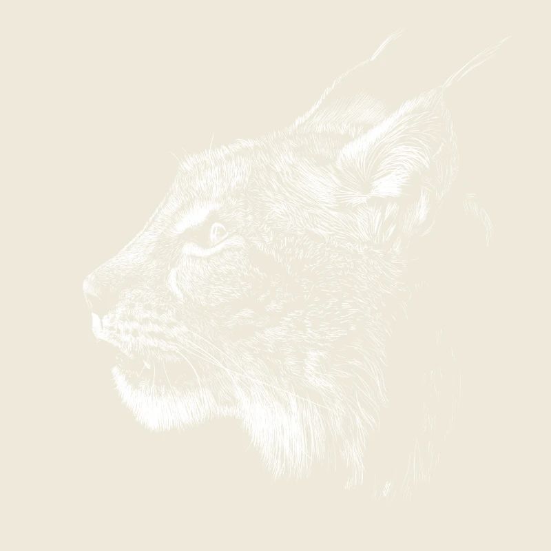 lynx