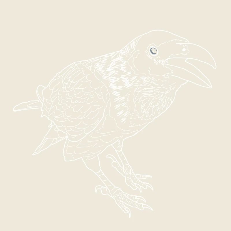 Krähe lineart
