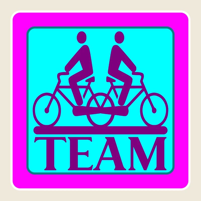 TEAM PROBLEMS - BICYCLE - STRATEGY