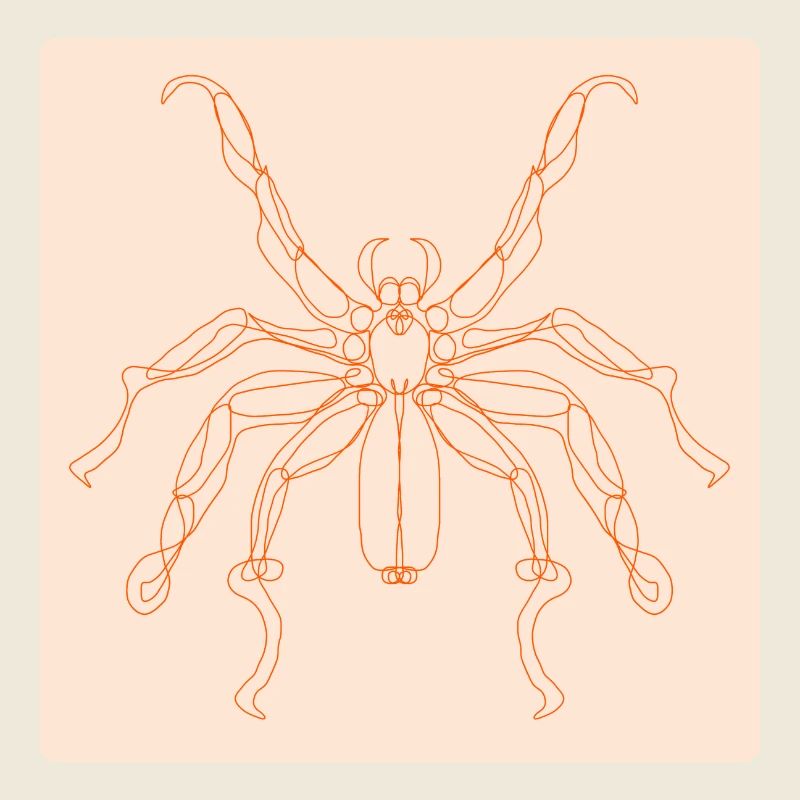 LINE ART SPIDER - HALLOWEEN COSTUMES - MINIMALISM