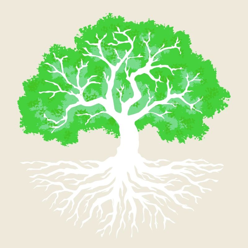 Nature Conservation Tree Nature Earth Environment Environmental Protection