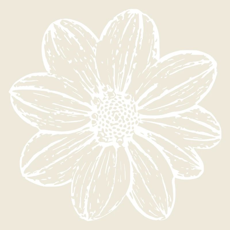 Blume weiß weiße Blume