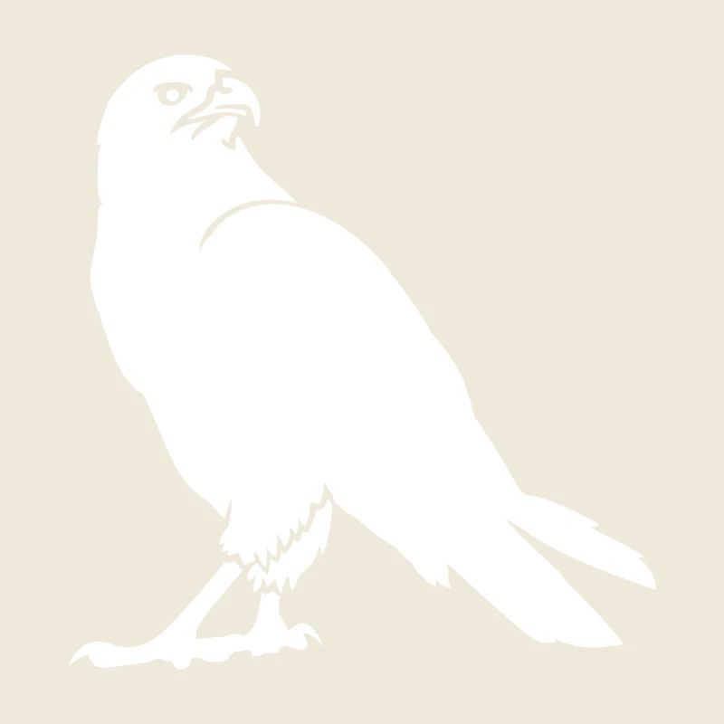 Wildlife, Eagle, Buzzard, Wildlife, Birds, Bird, Zoo