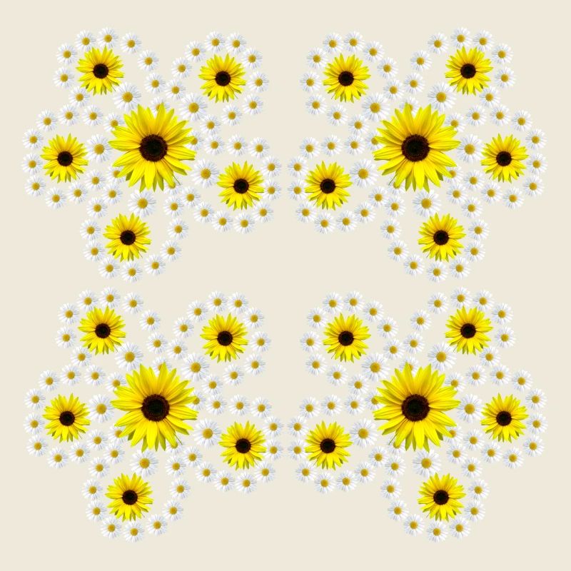 Floral Pattern with Daisies Sunflowers Blossom