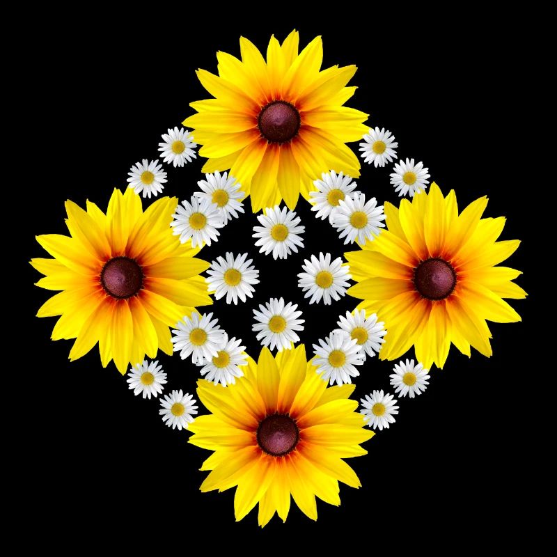 Sonnenhut Blume mit Gänseblümchen Margeriten Blume