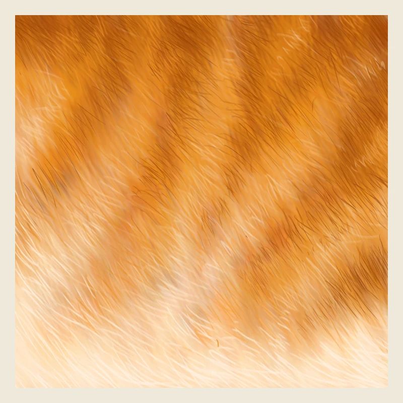 Red cat fur