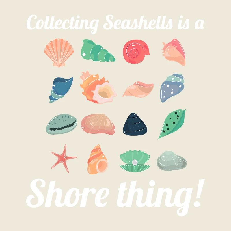 Coquillages Collector Beachcomber Sea Shell Ocean