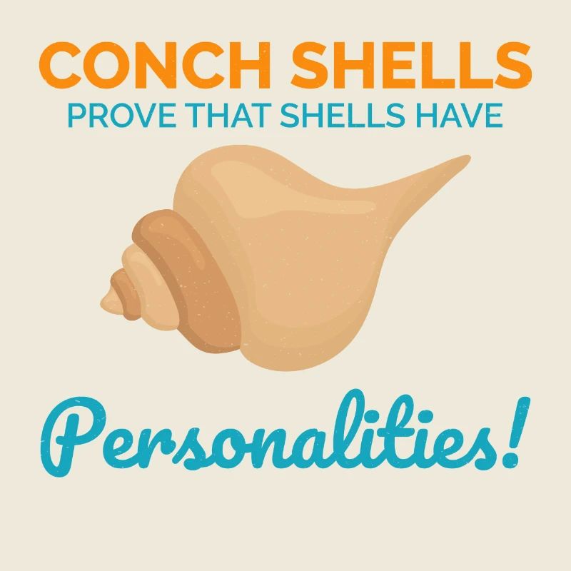 Conque Coquillages Collector Beachcomber Coquillage