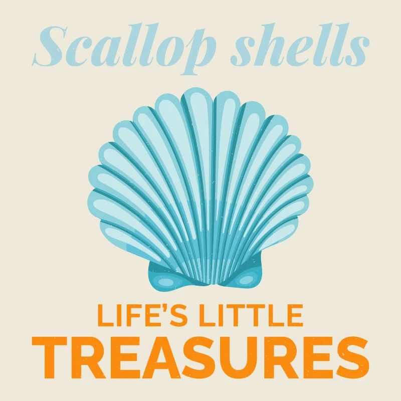 Pétoncles Coquillages Collector Beachcomber Crustacés