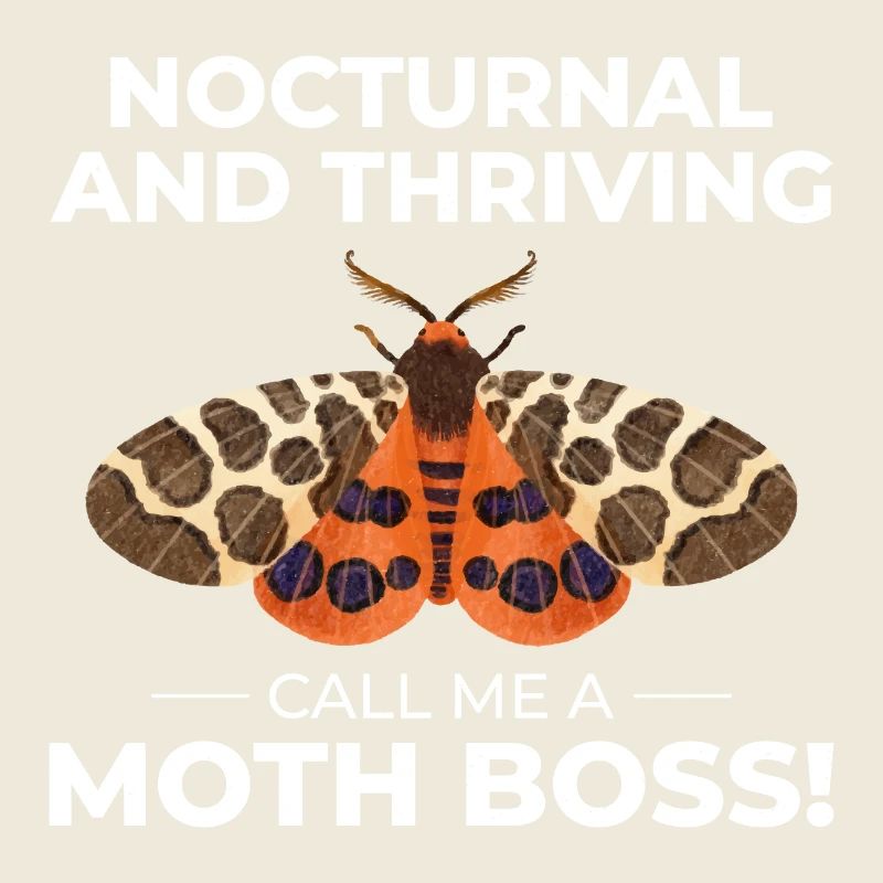Moth Nocturnal Animal Insect Collector Entomology