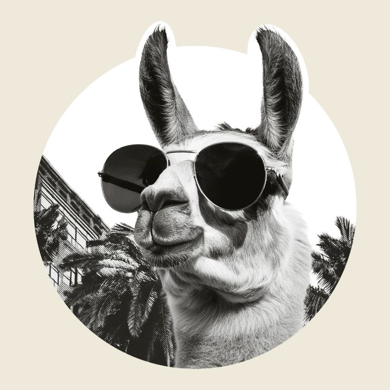 Lama en vacances palmiers humour comique 