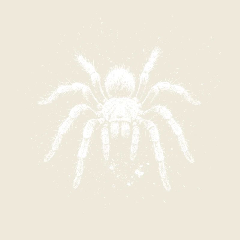Vogelspinne