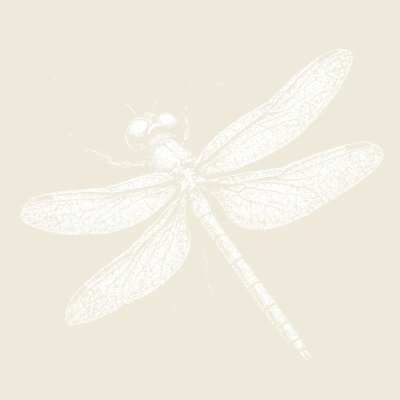 Libellule