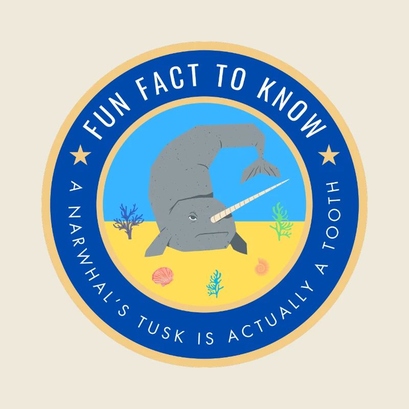 A Narwhal's tusk is actually a tooth