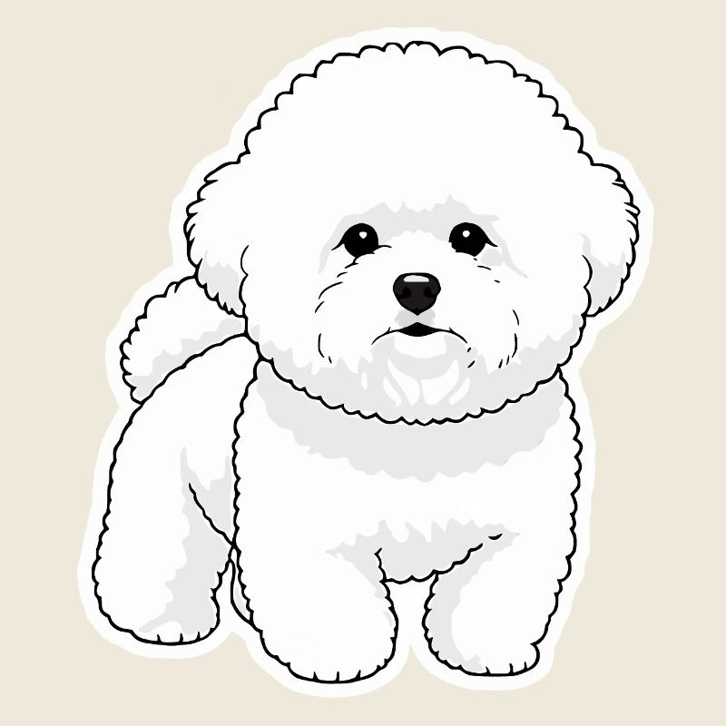 Bichon Mignon 