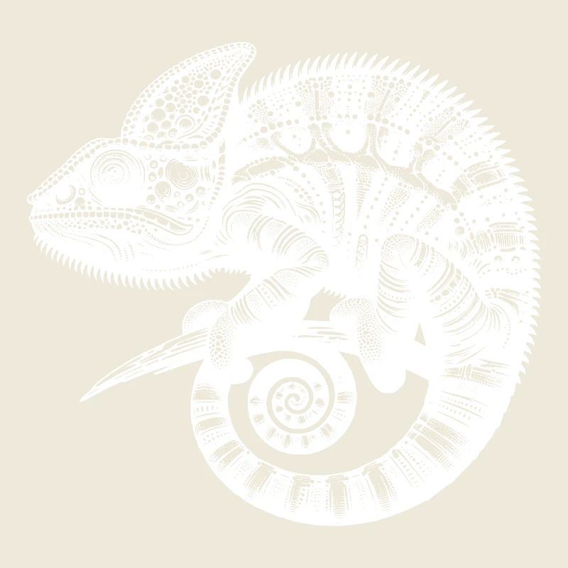 Tropical Lizard Wonder Exotic Lizard