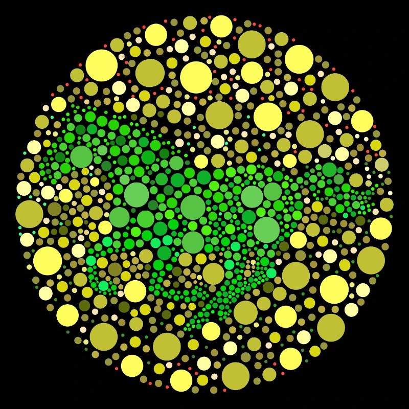 Pferd im Galopp Farbtest