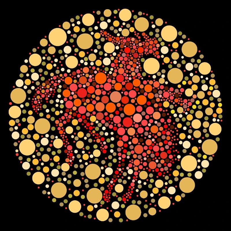 Test de couleur du Reiter Rodeo